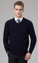 Load image into Gallery viewer, 2017 Hot sale Men&#39;s Sweater 100% Pure Cashmere Knitted Winter Warm Pullovers V-neck Long Sleeve Standard Sweaters
