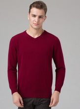 Load image into Gallery viewer, 2017 Hot sale Men&#39;s Sweater 100% Pure Cashmere Knitted Winter Warm Pullovers V-neck Long Sleeve Standard Sweaters