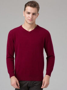 2017 Hot sale Men's Sweater 100% Pure Cashmere Knitted Winter Warm Pullovers V-neck Long Sleeve Standard Sweaters